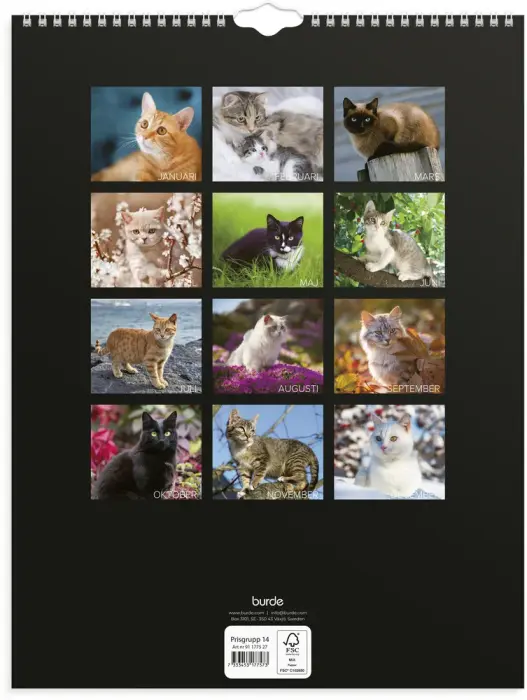 Stora Kattkalendern 2027