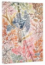 Kalender Paperblanks Anemone Horizontal Midi 2026