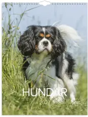 Stora Hundkalendern 2027