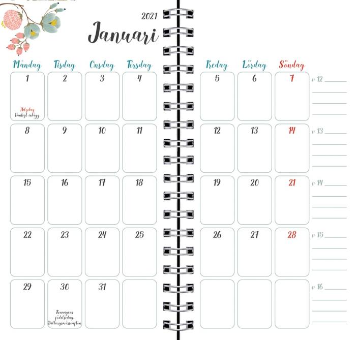 Burde Publishing AB Life planner Slim 2020-2021 - Kalenderkungen.se