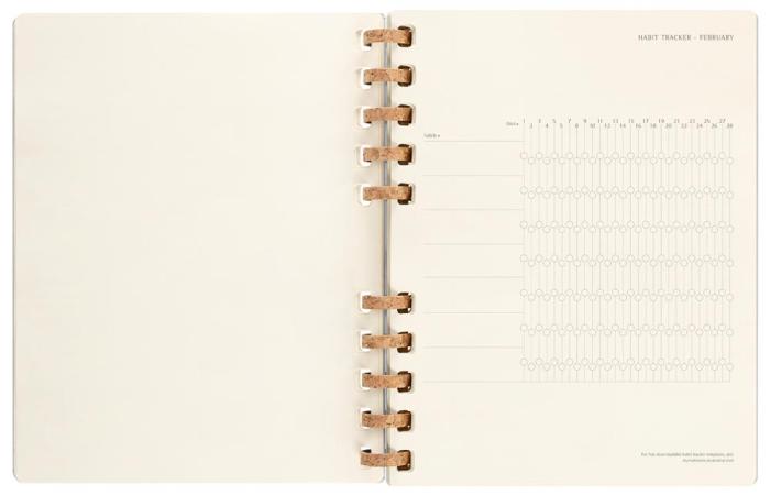 Spiral Planner 2023 XXL Smoke Grey