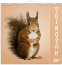 V&auml;ggkalender S&ouml;tnosar 2027