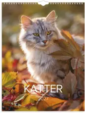 Stora Kattkalendern 2027