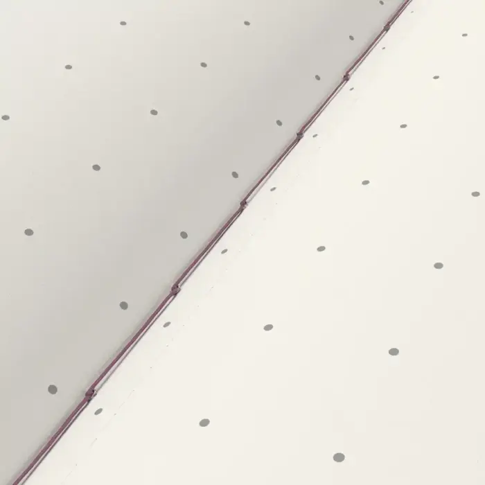 Leuchtturm Jottbook A5 3- pack Dotted Cherry