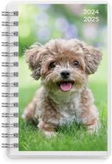 Pets 4i1 Compact 2024-2025