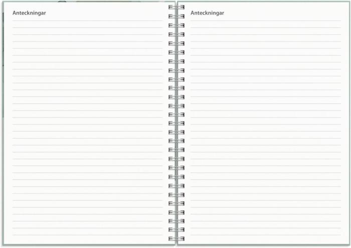 Kalender Study A5 Story grön 2024-2025