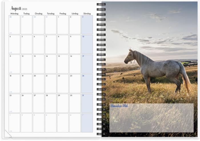 Kalender 2025 Stallkalendern