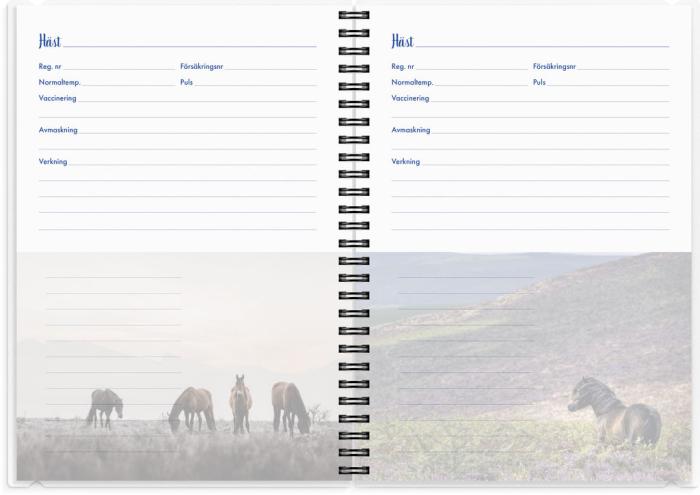 Kalender 2025 Stallkalendern