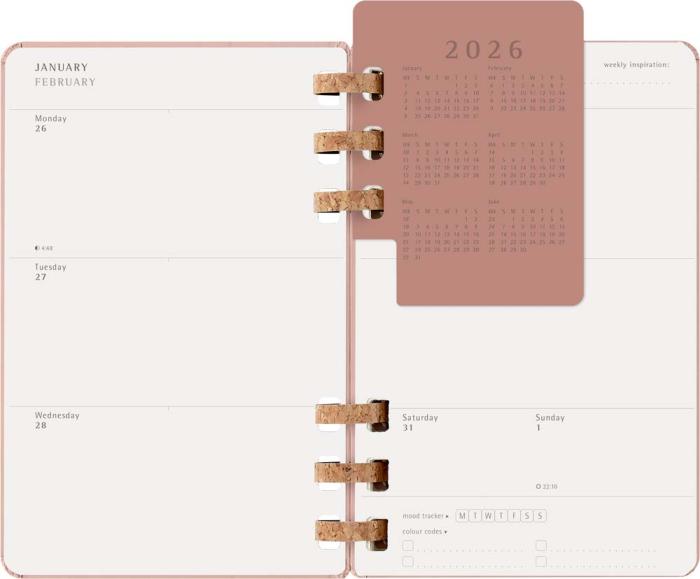 Kalender Moleskine Spiral Planner 2026 Large Almond