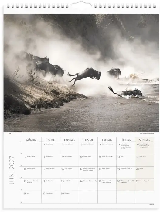 Väggkalender Savannen 2027