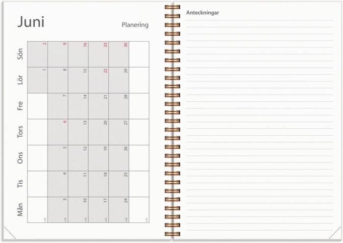 Kalender Study A5 Story Fjärilar 2024-2025