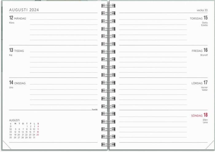 Kalender Senator A6 Story grön 2024-2025
