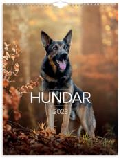 Stora Hundkalendern 2023
