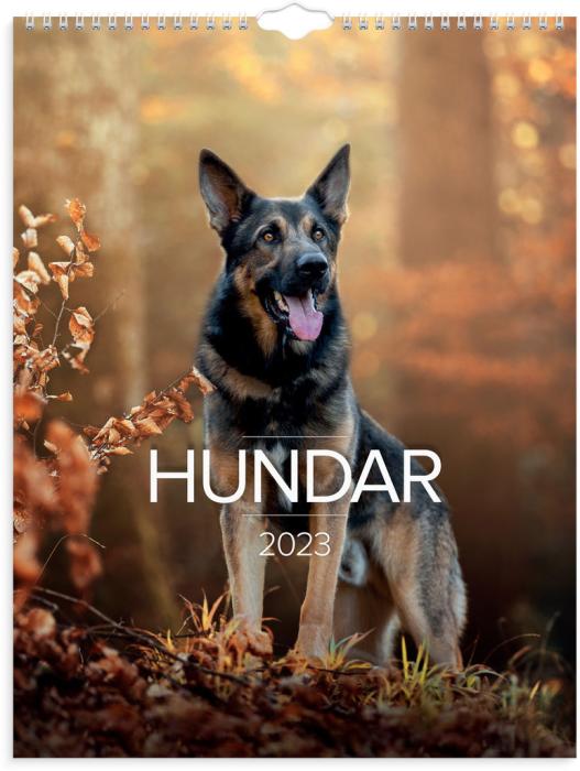 Stora Hundkalendern 2023