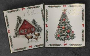Julkort Cancerfonden 10-pack Julgran/ Hus bland granar 