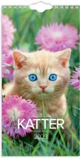 Liten kattkalender 2023