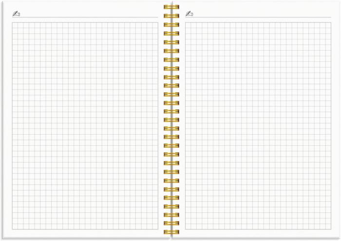 Kalender Study A5 Star 2024-2025