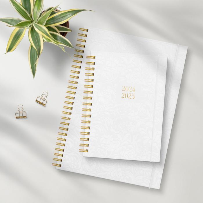 Kalender 2024-2025 Senator A6 Star