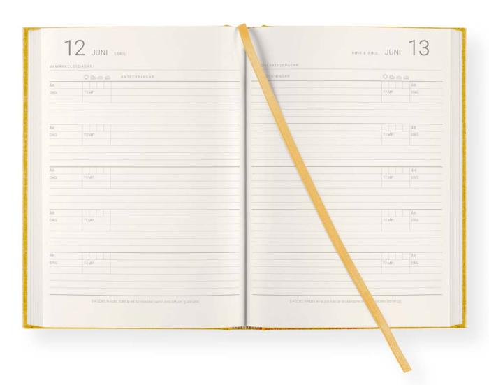 5-årsdagbok Sunflower