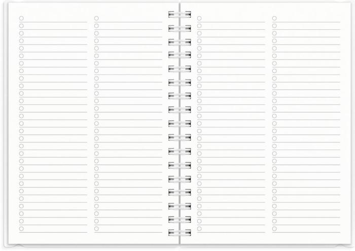 Kalender 4i1 Senator A6 2024-2025