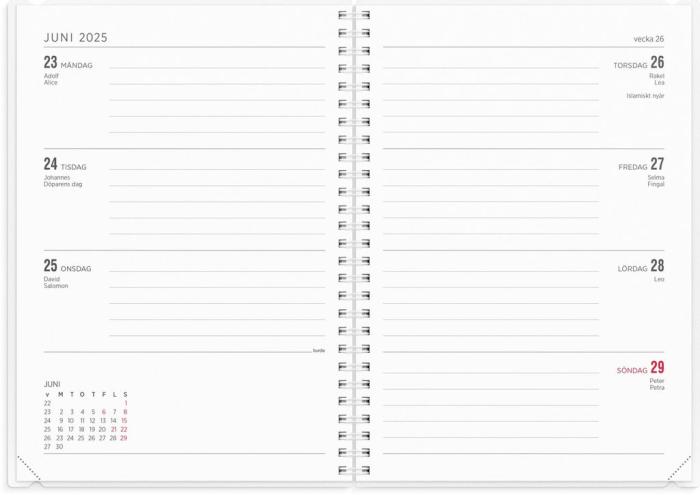 Kalender Senator A5 4i1 2024-2025