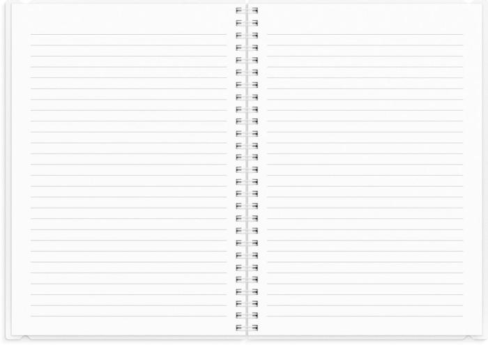 Kalender Senator A5 4i1 2024-2025