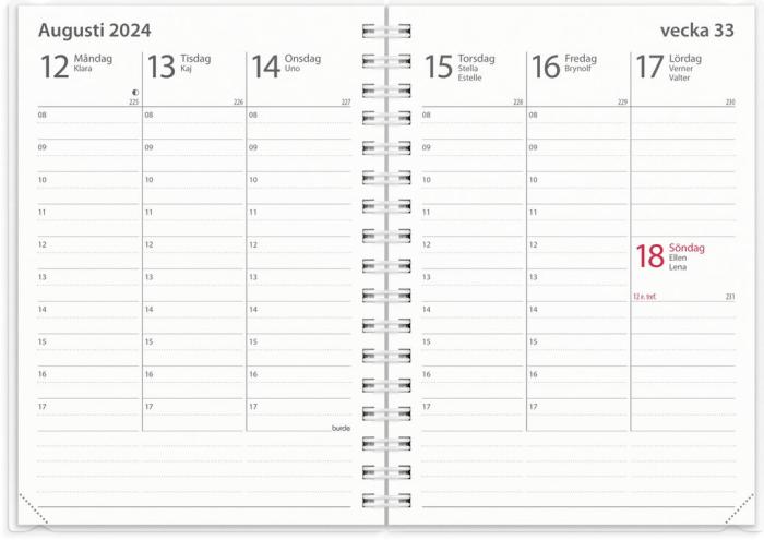 Kalender Study A6 4i1 2024-2025