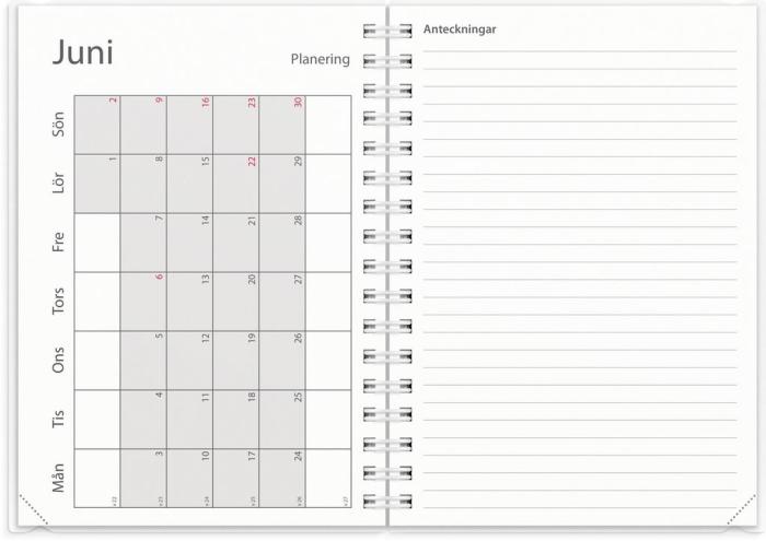 Kalender Study A6 4i1 2024-2025