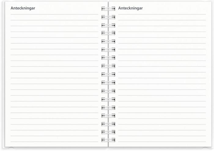 Kalender Study A6 4i1 2024-2025