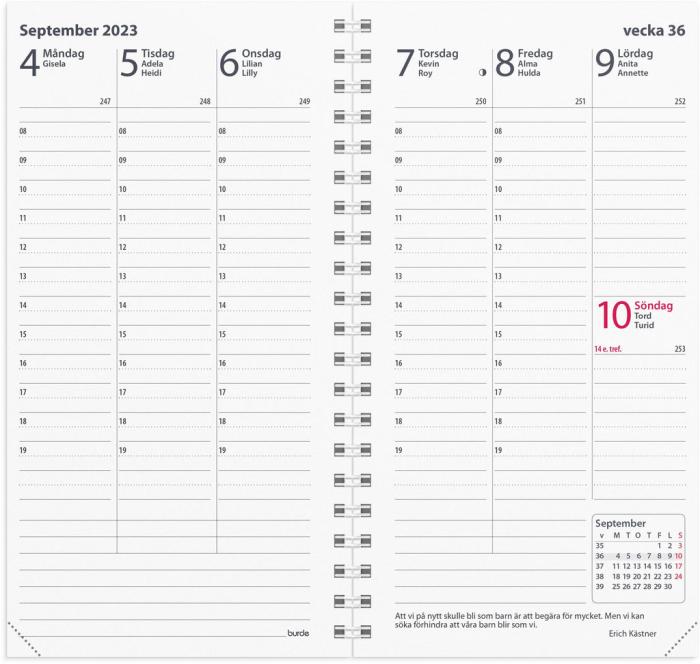 Interplano II refill 2023