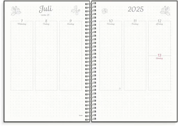 Kalender 2025 Plan & BuJo