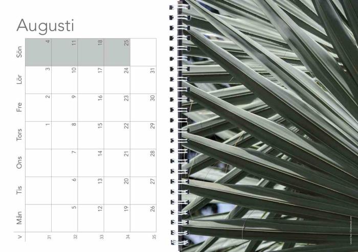 Burde Publishing AB Ett skönare liv 2020 - Kalenderkungen.se