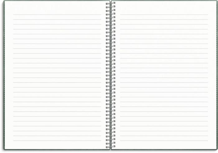 Kalender Senator A5 Twist grön 2024-2025
