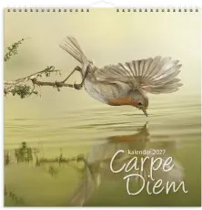 V&auml;ggkalender Carpe Diem 2027