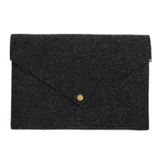 Document Folder/Laptop Case Transparent Black 