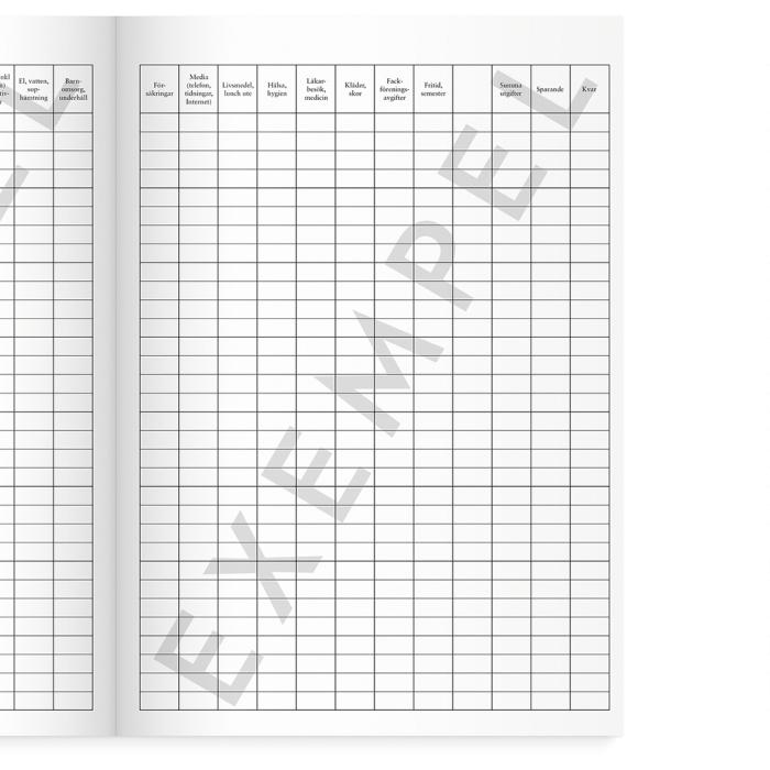 Familjens Kassabok A4 