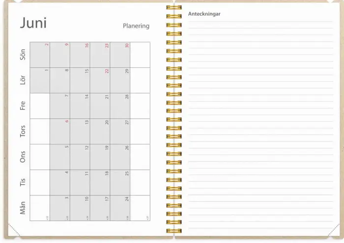 Kalender Study A5 Gobi rosa 2023-2024
