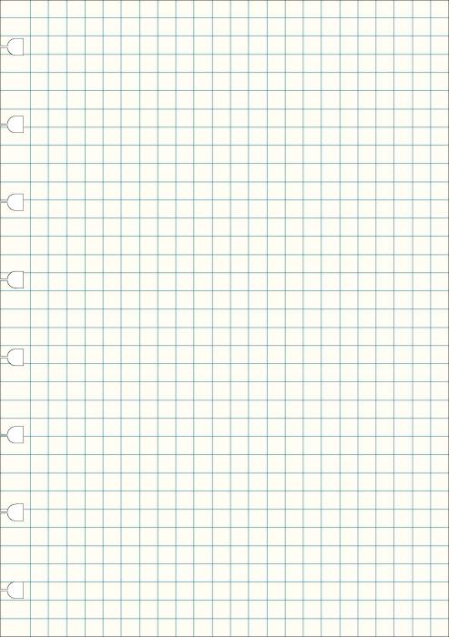 Extrablad rutade till Filofax Notebook A5