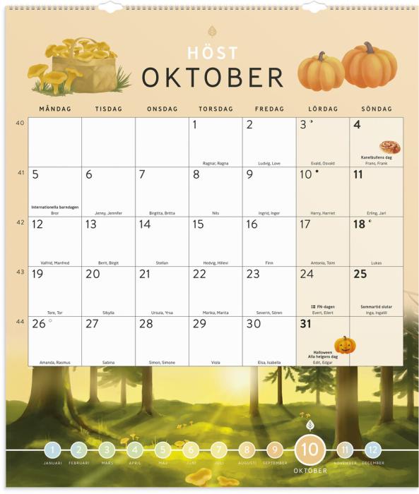 Klassrumskalendern 2026 - 2027 60x70cm 