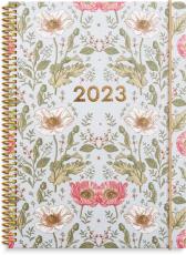 Senator A5 Story blomma 2023