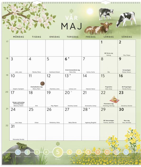 Klassrumskalendern 2026 - 2027 60x70cm 