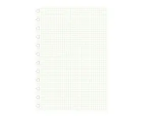 Extrablad rutat till Filofax A4 Notebook