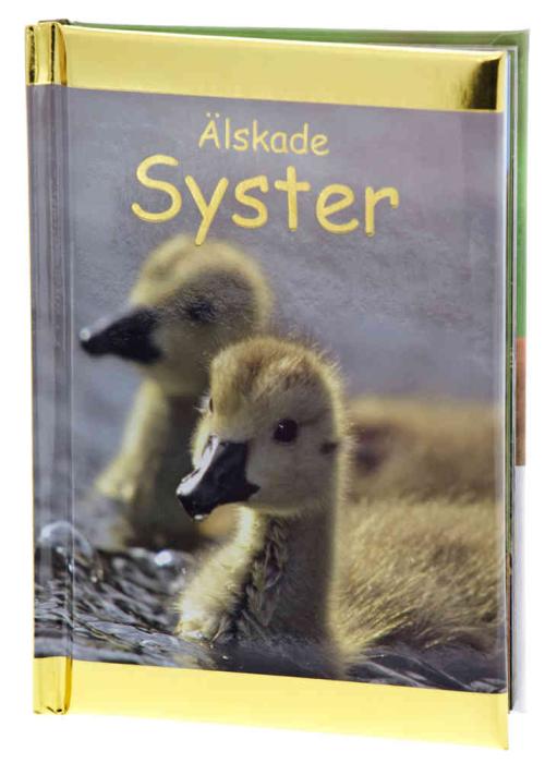 Älskade systrar - Citatbok 