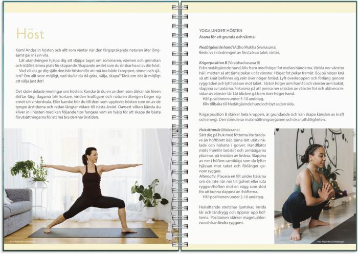 Yogakalendern 2024