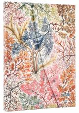 Kalender Paperblanks Anemone Horizontal Midi 2026