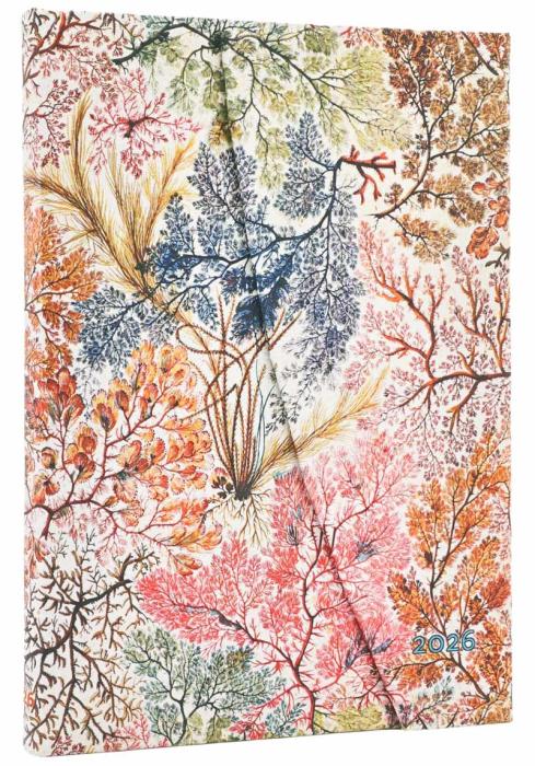 Kalender Paperblanks Anemone Horizontal Midi 2026