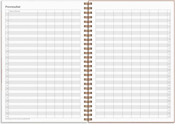 Kalender Study A5 Story beige 2023-2024