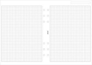 Filofax A5 rutade blad