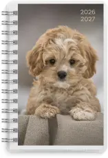 Kalender Pets 4i1 Compact 2026-2027