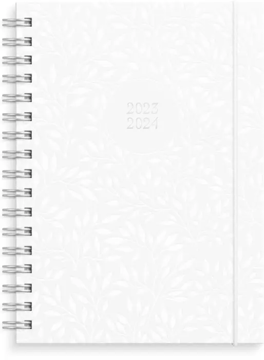 Kalender 23/24 Senator A6 Star